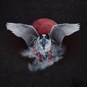 五月婷婷综合激情
